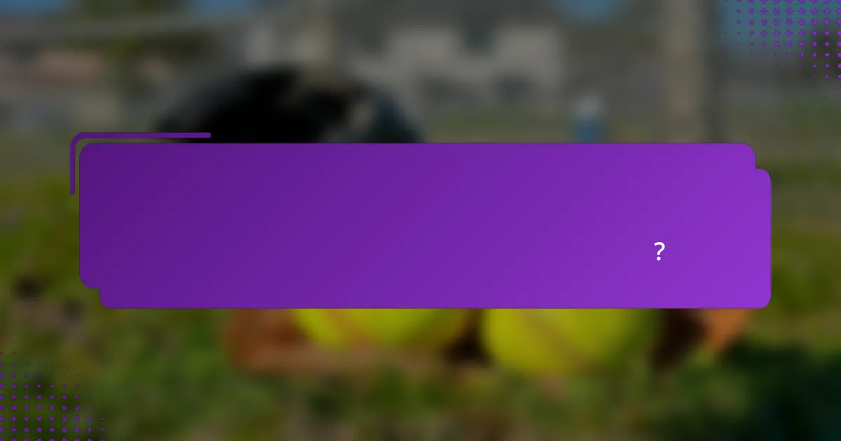 চীনে বেসবল খেলোয়াড়দের র্যাঙ্কিং মূল্যায়নের জন্য কী কী মূল মানদণ্ড?